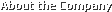 About the Company